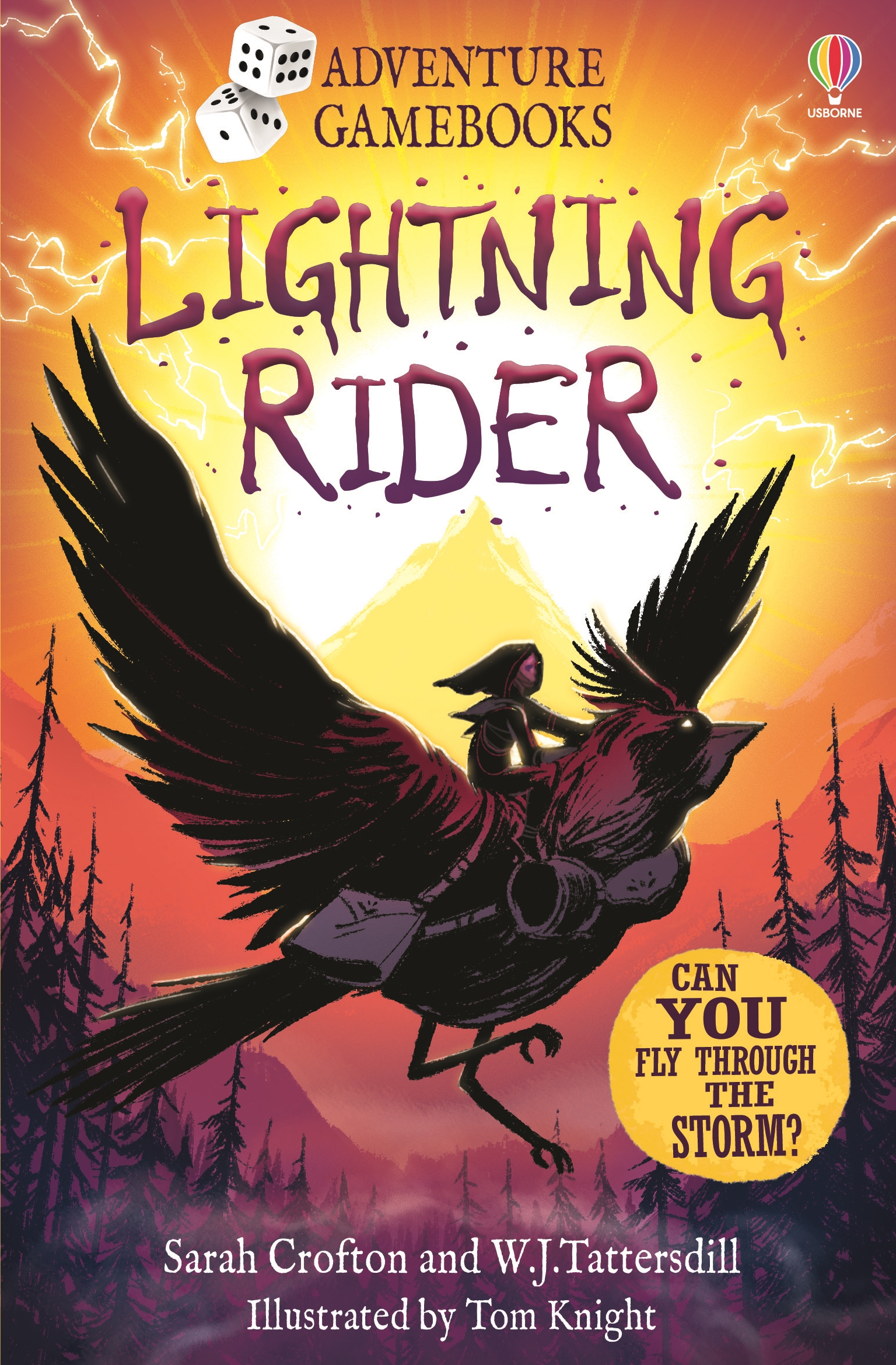Lightning Rider Adventure Gamebooks